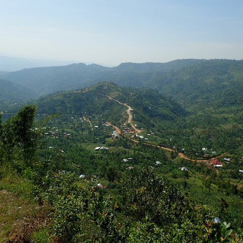 JAS Organic Rwanda Mikoff